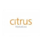 Untitled design - 2025-09-20T181725.271